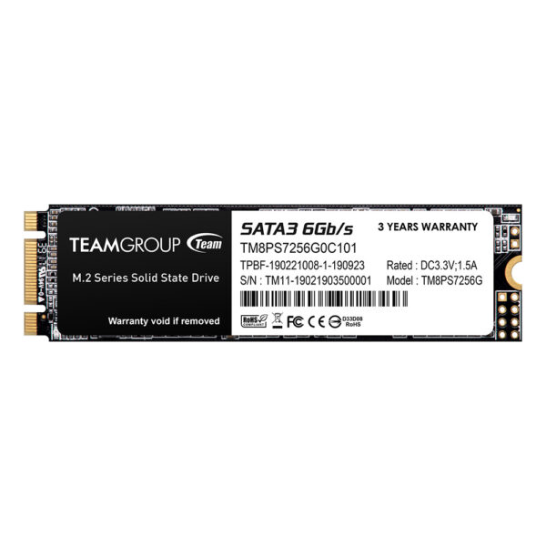 Team 256GB MS30 M.2 SATA SSD M.2 2280 SATA3 Read Up to 500 MB/s Write Up to 400 MB/s